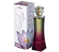 Adelaide em Flor - Flor de Lótus